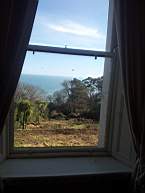 fkillineybeforeinternal 1880.jpg
